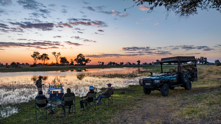 botswana elephants sunset safari